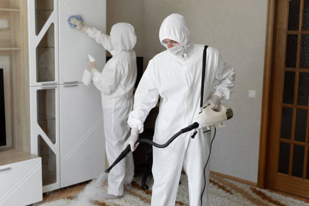 Best Emergency Mold Remediation in Oxoboxo River, CT